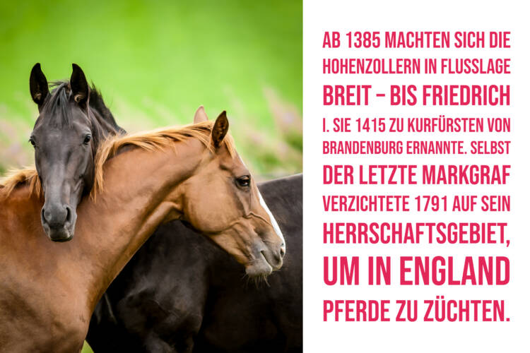 Ab 1385 machten sich die Hohenzollern in Flusslage breit – bis Friedrich I. sie 1415 zu Kurfürsten von Brandenburg ernannte. Selbst der letzte Markgraf verzichtete 1791 auf sein Herrschaftsgebiet, um in England Pferde zu züchten.